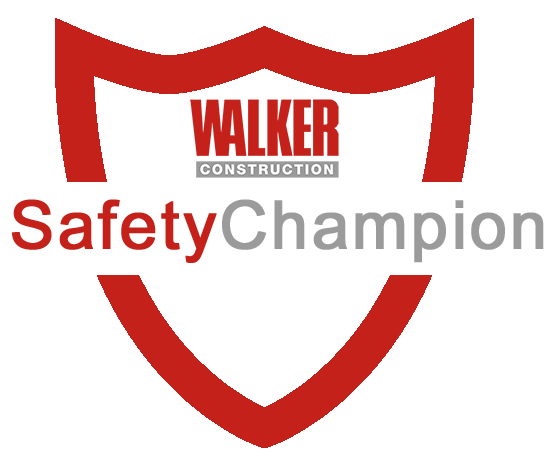 Safety Champion Progress Review