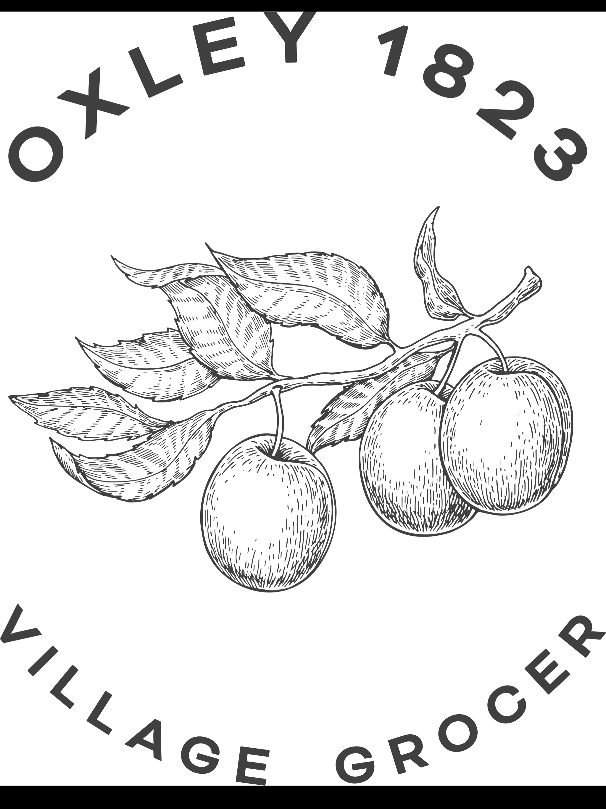 VILLAGE GROCER DAILY AUDIT