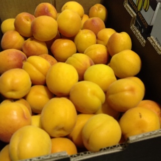 Delica Domestic Apricot QC report