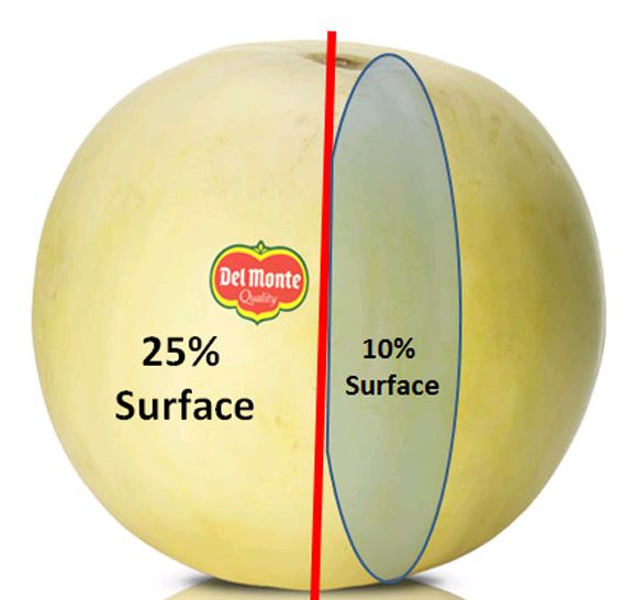 Honeydew Area.JPG