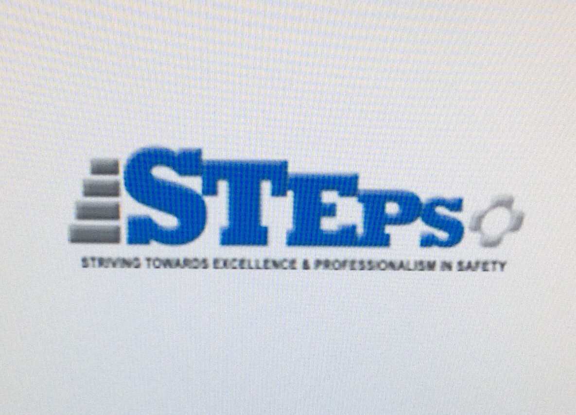 STEPS Safety Audit  
