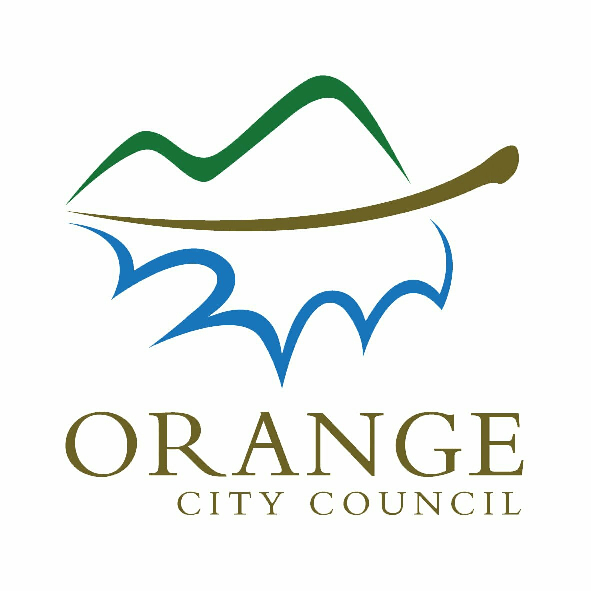 Orange City Council Skin Penetration Premises Inspection Report v2.1