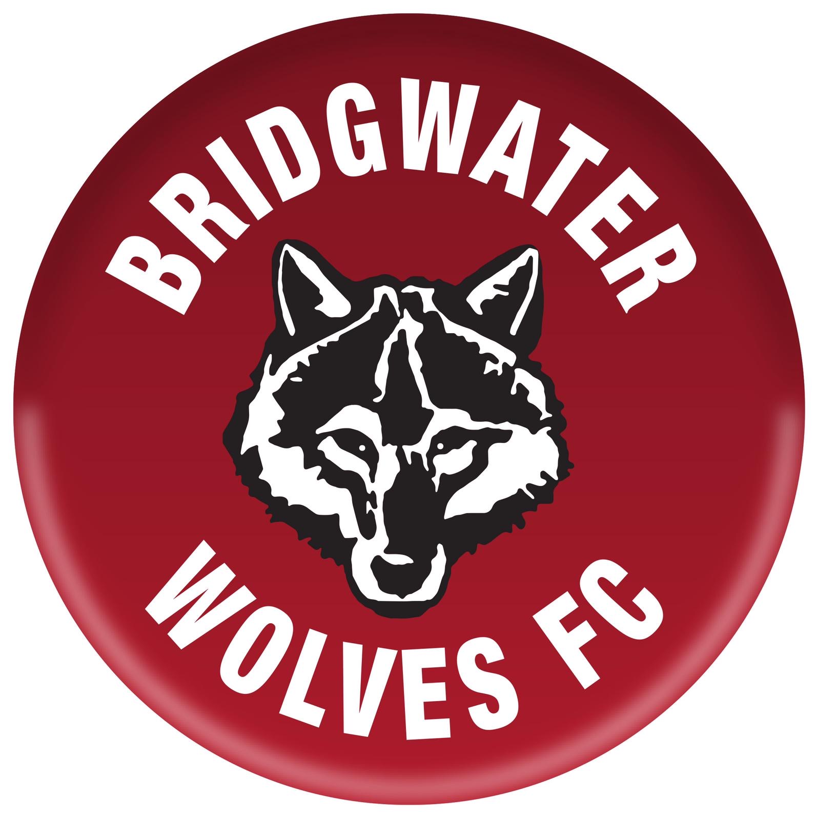 Bridgwater Wolves U7s COVID-19 Register