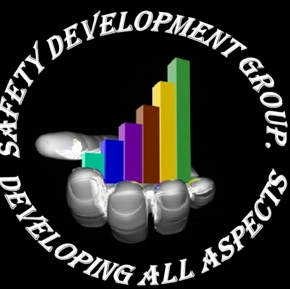 Safety Develoment Group Safety Audit 