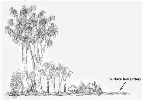 Surface Layer Diagram