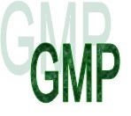 GMP Audit - Holder/Distributor