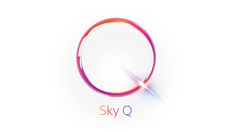 SkyQ Onsite observation V1.2