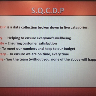 SQCDP Audit