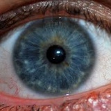 Monthly KPI Review/Focus 