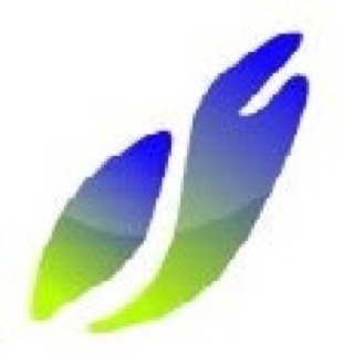 AUL - Weekly Vehicle Inspection Report