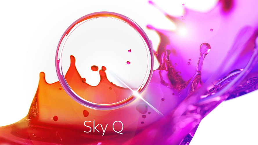 Sky Q Revisit Feedback (L01)