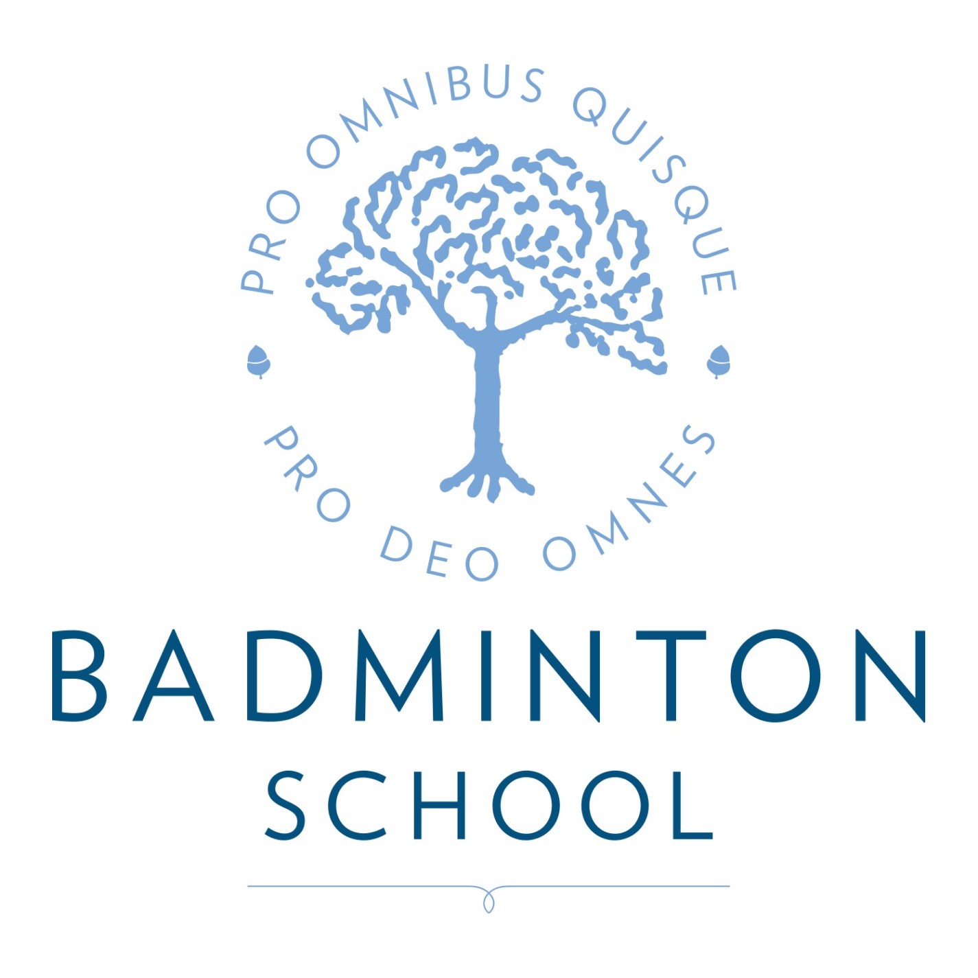 Badminton School Health & Safety Departmental Audit 