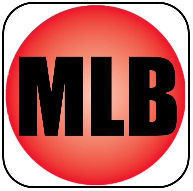 MLB - Checklist 5S Escritório.