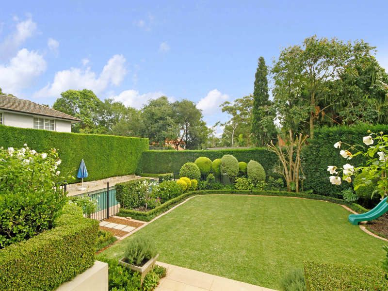 Daily Landscape Sheet