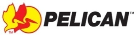 TOR- Molding Layered Process Audit Sheet - BETA