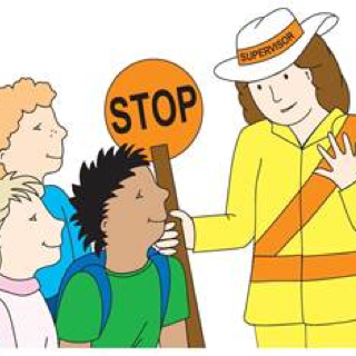 Childrens Crossing Audit Inspection/Review