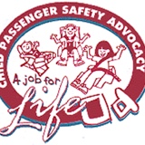 Minnesota Child Passenger Safety Inspection Form