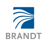 Brandt Accident Report