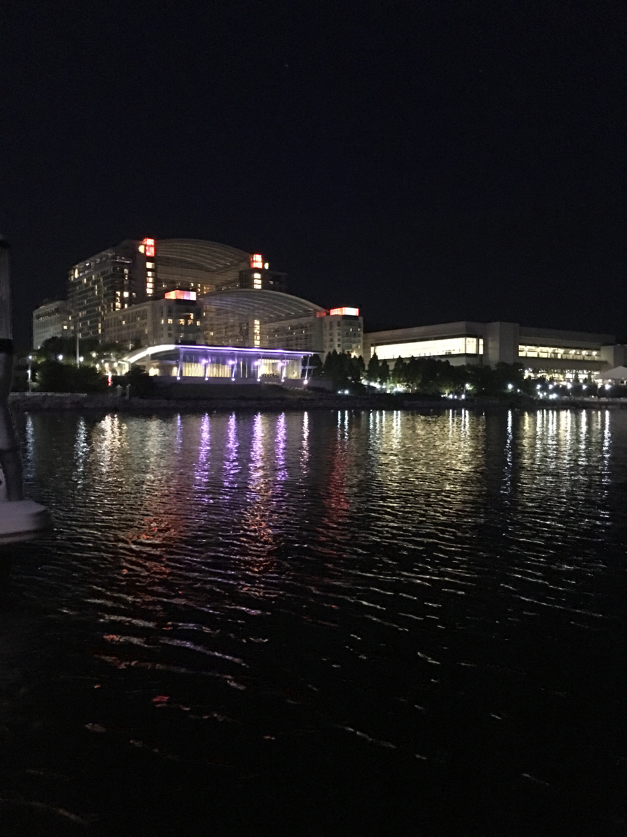 Gaylord National Visual Inspection 