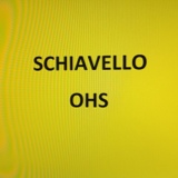 Schiavello (Site) QHSE Internal Safety Audit