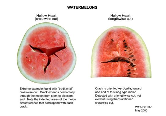 Hollow Heart Watermelon.JPG