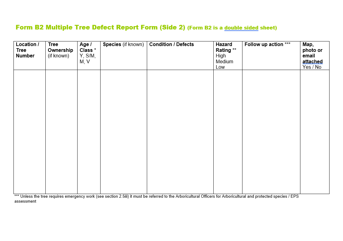 FORM B2 Multiple Tree Defect Report Form 2021 PAGE 2.PNG