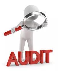 Check list spot audit 