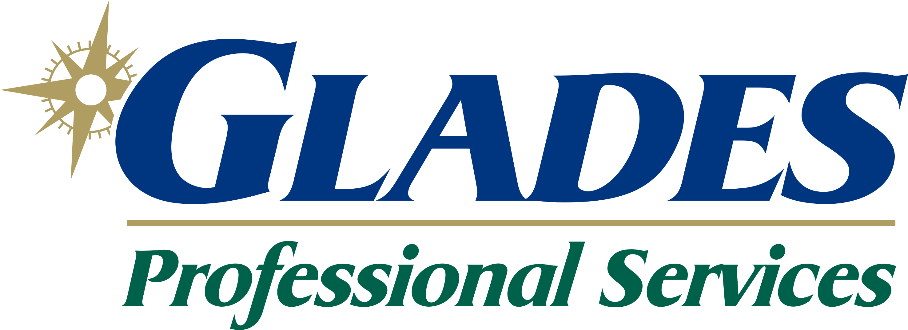 Daily Audit - Glades Professional Services