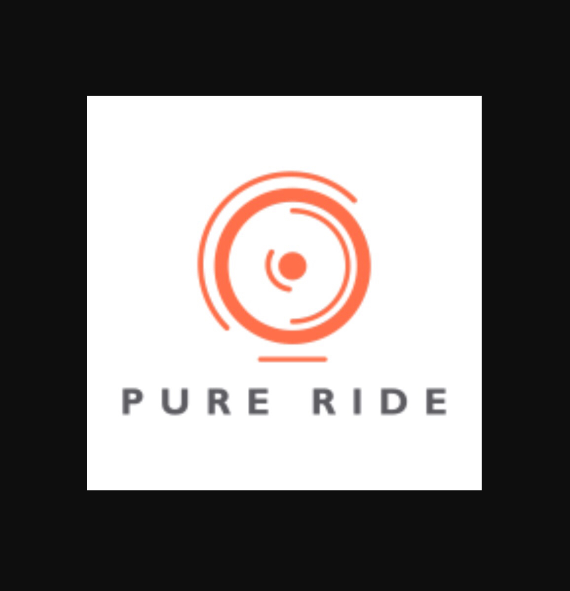 Pure Ride brand standards audit  Copy