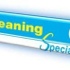 Cleaning Specialists - 009