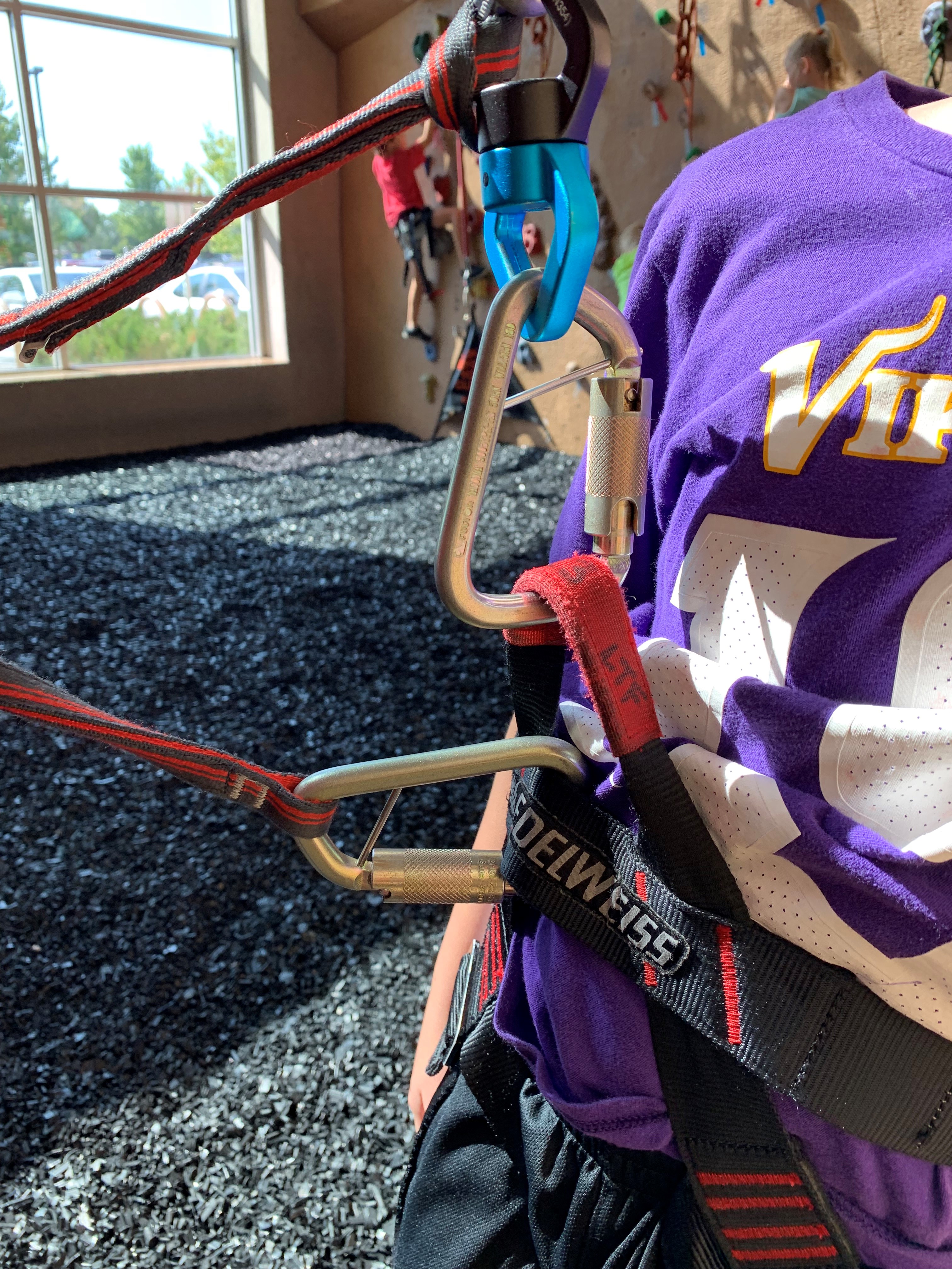 Harnessed and Clipped Child - Incorrect (1).jpg