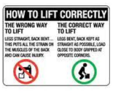 Screen Shot 2017-08-07 at 1.42.20 pm.png