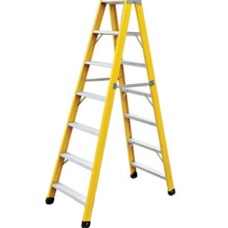 Ladder Inspection Form - GFS Texas