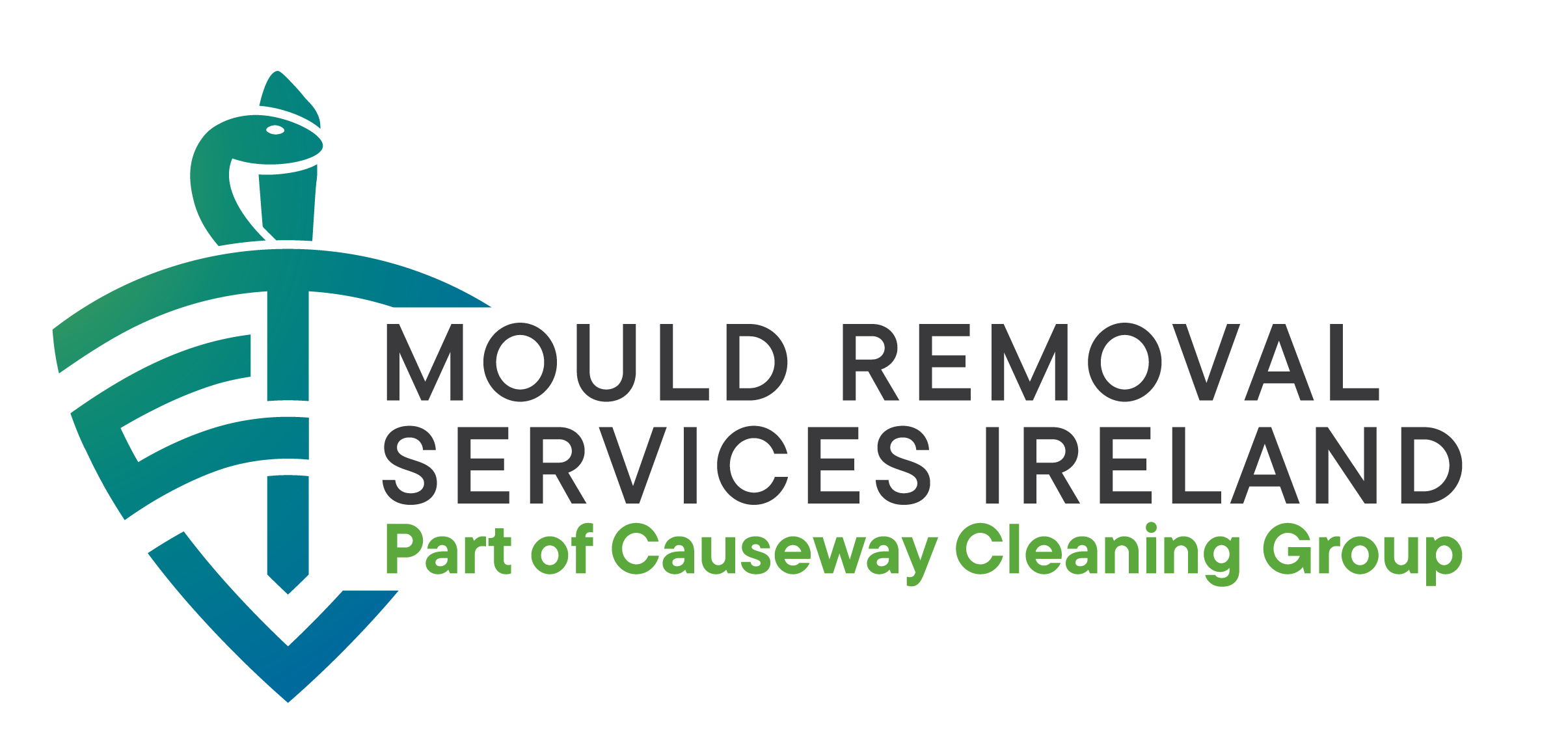 Causeway Cleaning Ltd ta/ Mould Removal Services Ireland  Damp and Mould Inspection Form