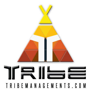 INSPECCIÓN DE VILLA