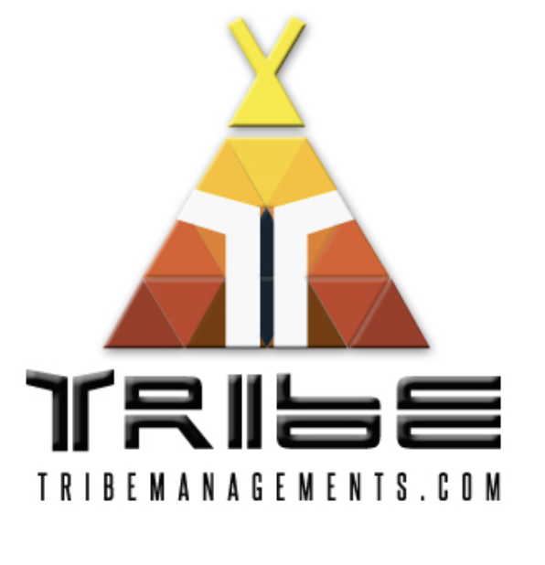 Villa Pre Arrival inspection 