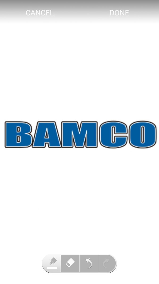 BAMCO inc. Field Safety Audit