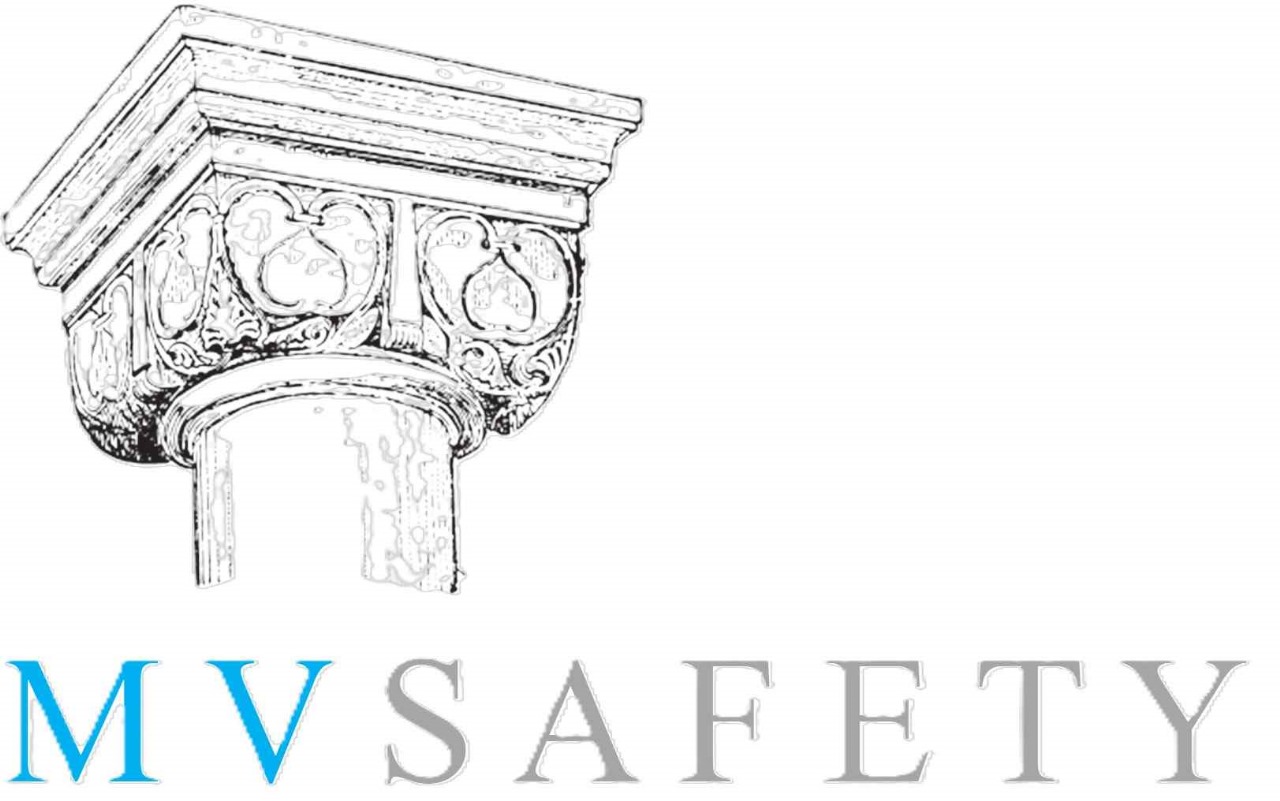 MVSAFETY - LEGAL COMPLIANCE AUDIT