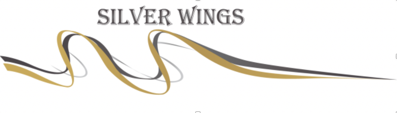 Aviation Maintenance Facility - MRO / 145