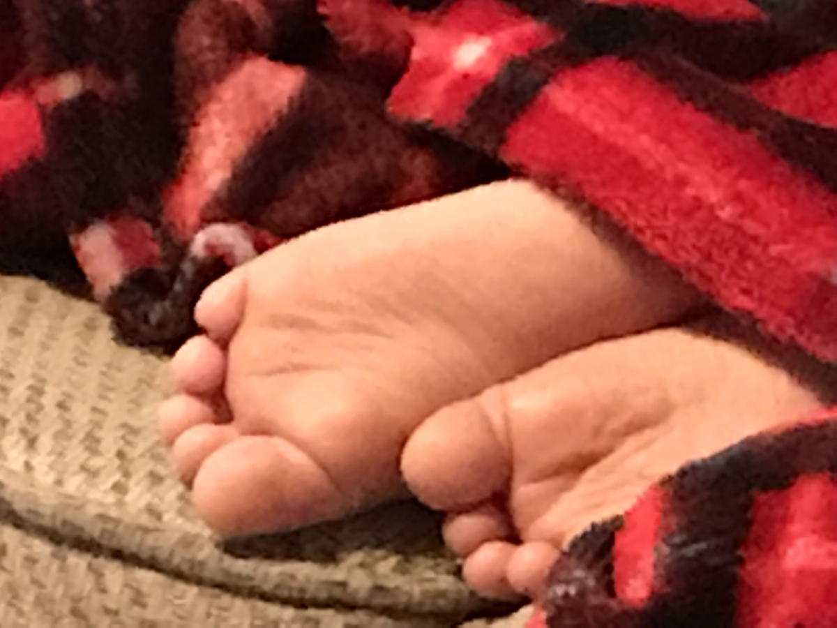 Devonshire Weekly Food Audit