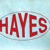 Hayes Modular Group Inc.