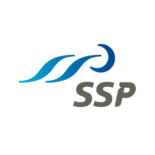 SSP audit 2019