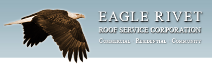 Eagle Rivet Roof Services  