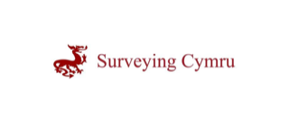 Surveying Cymru - Whole House Inspection Report - 
