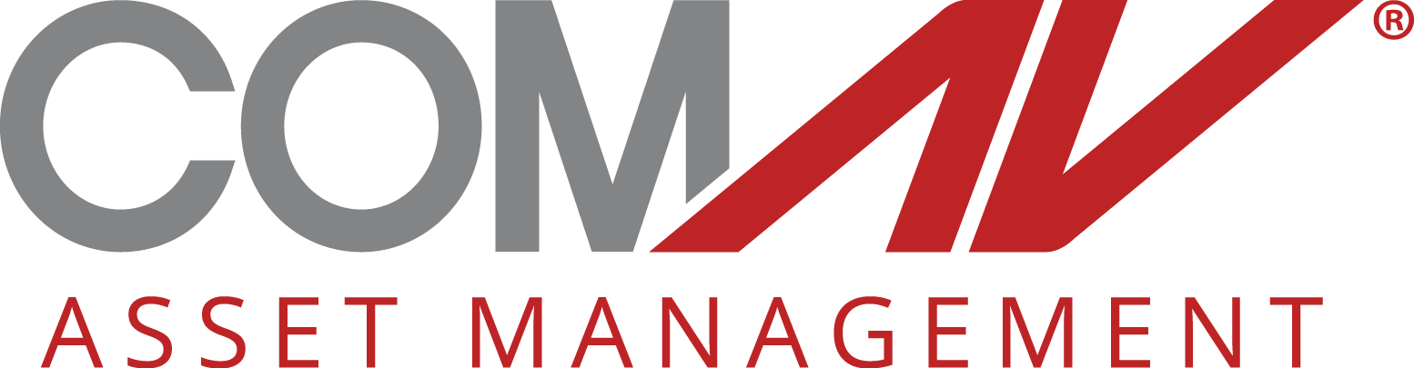 Management Review/ComAv Asset Management