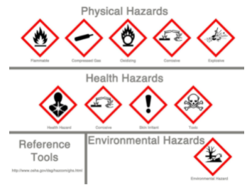 Physical & Health.PNG