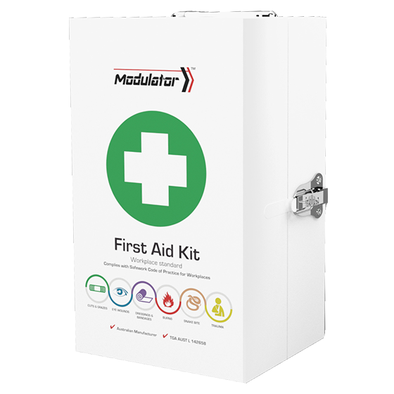 Example First Aid Kit Monthly Inspection - Metal Kit