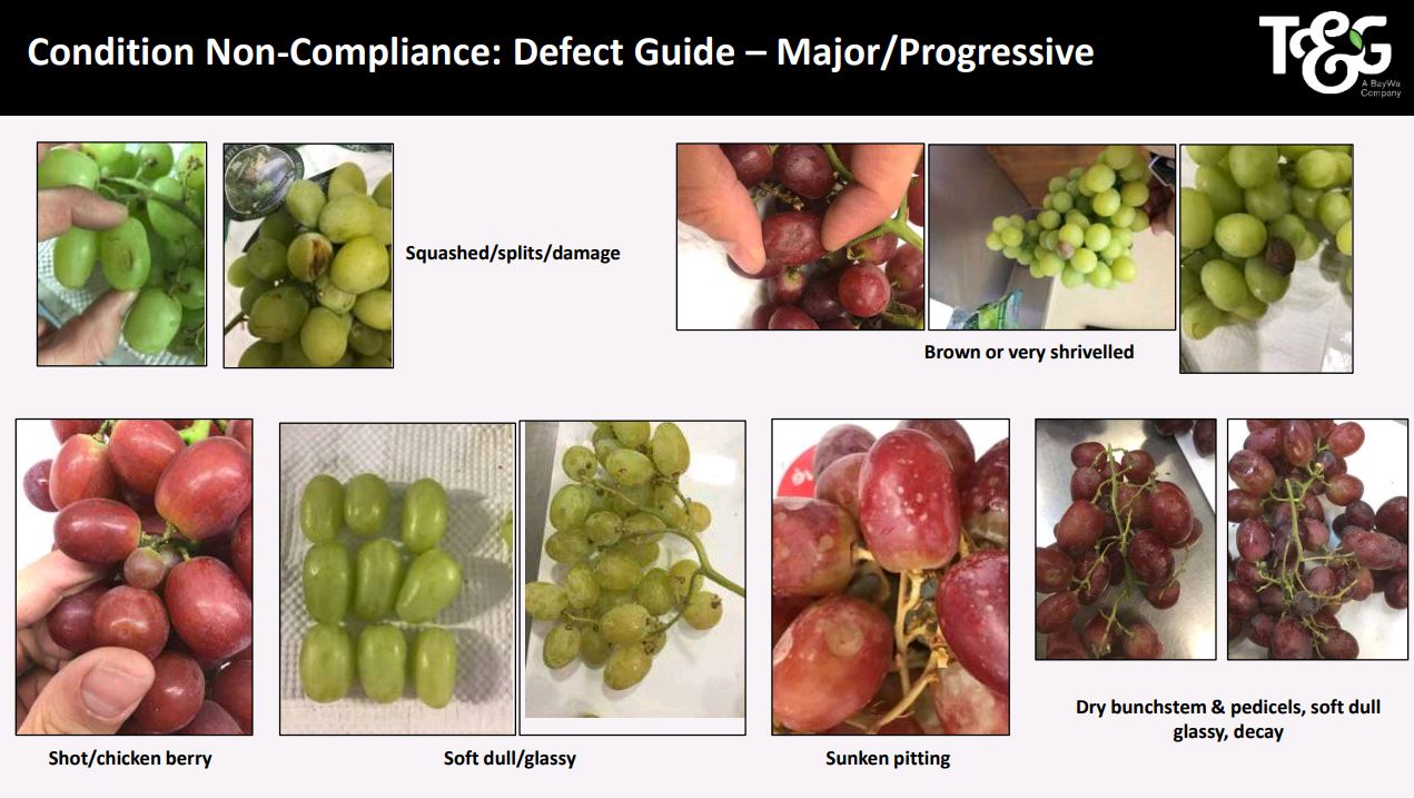 Grape Major Defects 2.JPG