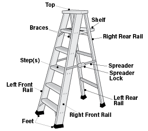 Ladder Diagram.gif