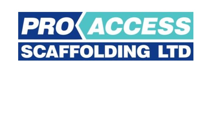 Pro Access Scaffolding -- Site Audit